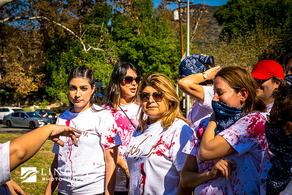 Women Life Freedom March, Los Angeles, California
